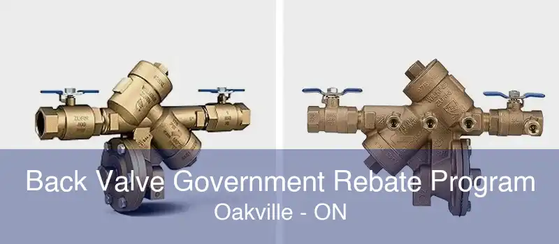 Back Valve Government Rebate Program Oakville - ON