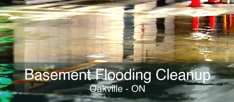 Basement Flooding Cleanup Oakville - ON