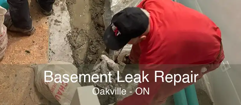 Basement Leak Repair Oakville - ON