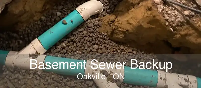 Basement Sewer Backup Oakville - ON