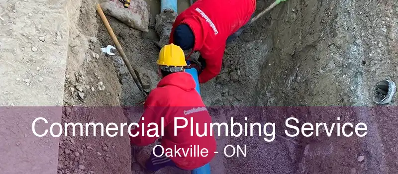 Commercial Plumbing Service Oakville - ON