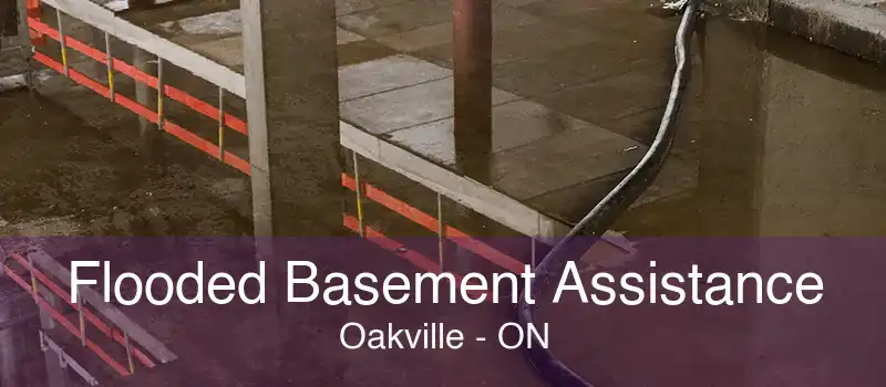 Flooded Basement Assistance Oakville - ON