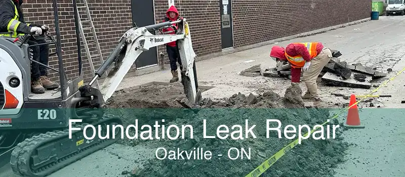 Foundation Leak Repair Oakville - ON