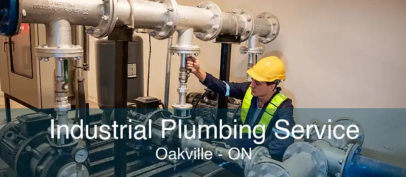 Industrial Plumbing Service Oakville - ON