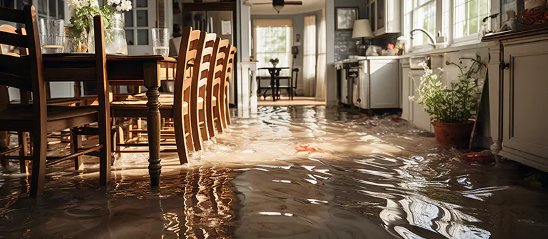 Flooded House Help Near Me in Oakville, Ontario