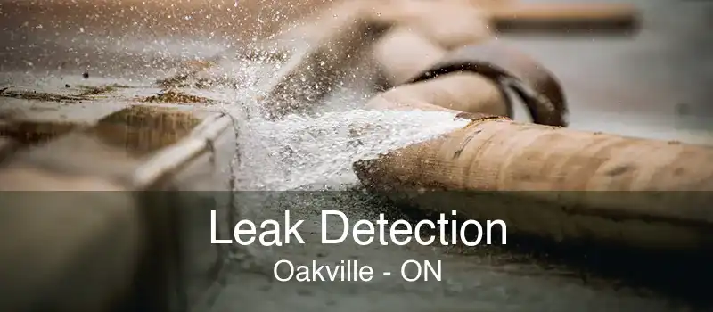 Leak Detection Oakville - ON