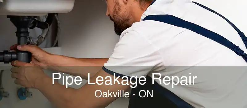 Pipe Leakage Repair Oakville - ON