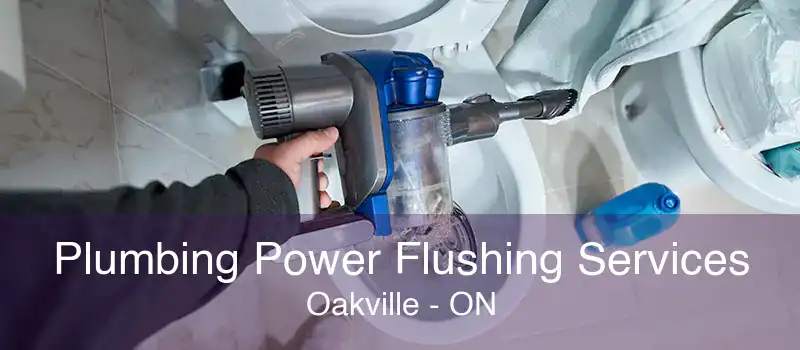 Plumbing Power Flushing Services Oakville - ON