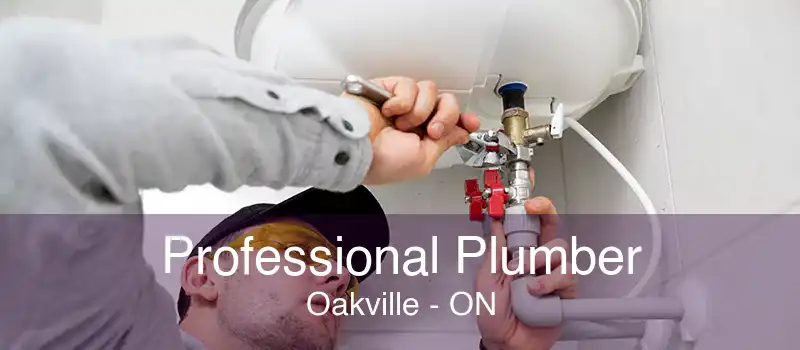 Professional Plumber Oakville - ON