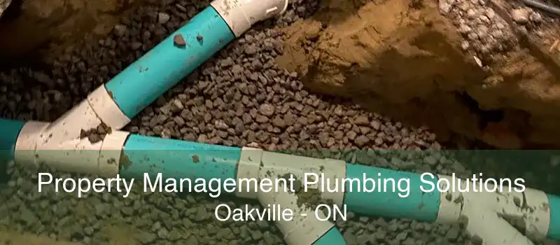 Property Management Plumbing Solutions Oakville - ON