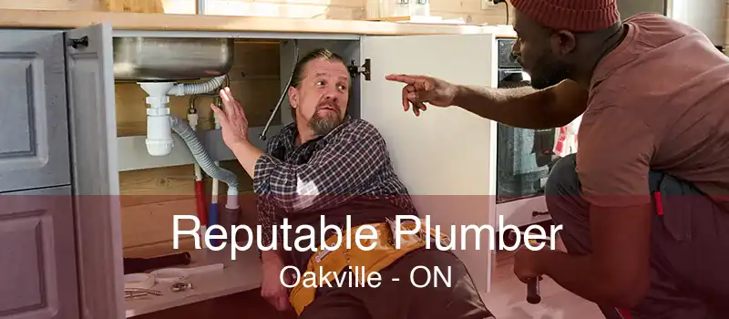 Reputable Plumber Oakville - ON