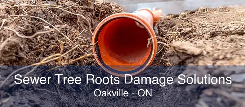 Sewer Tree Roots Damage Solutions Oakville - ON