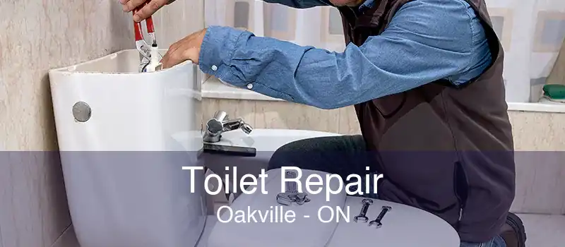 Toilet Repair Oakville - ON