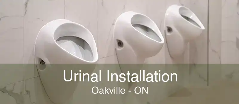 Urinal Installation Oakville - ON