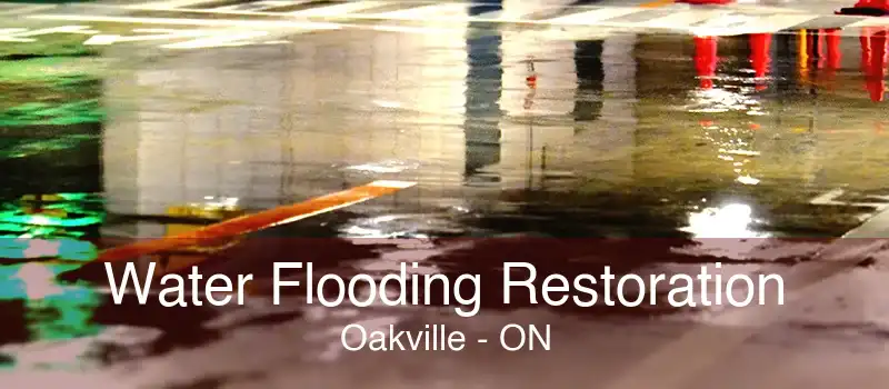 Water Flooding Restoration Oakville - ON