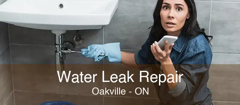 Water Leak Repair Oakville - ON