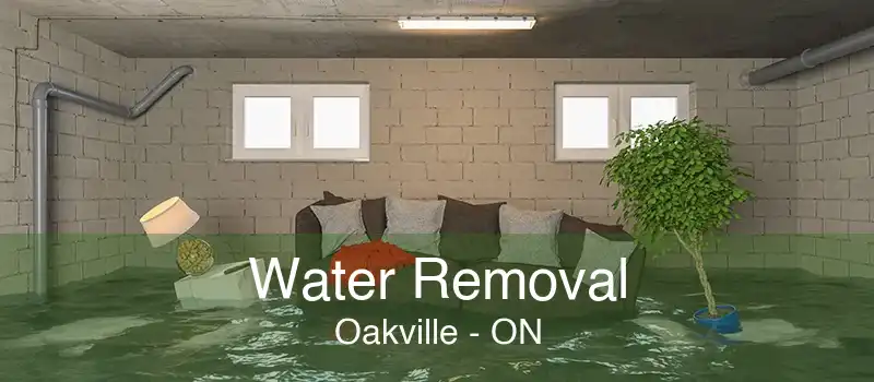 Water Removal Oakville - ON